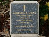 image number 238 Yasminka B Jurak